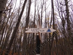 Saua Berbecilor - marcaj