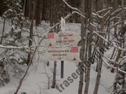 Valea Babarunca - marcaj